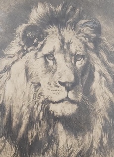 Herbert Dicksee (1862-1942), etching, 'His Royal Highness', 28 x 19cm. Condition - good